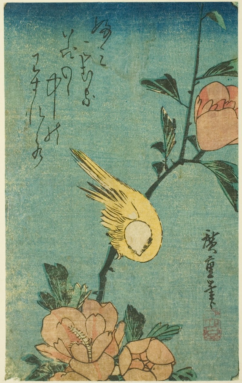 Pássaro amarelo e hibisco de Utagawa Hiroshige