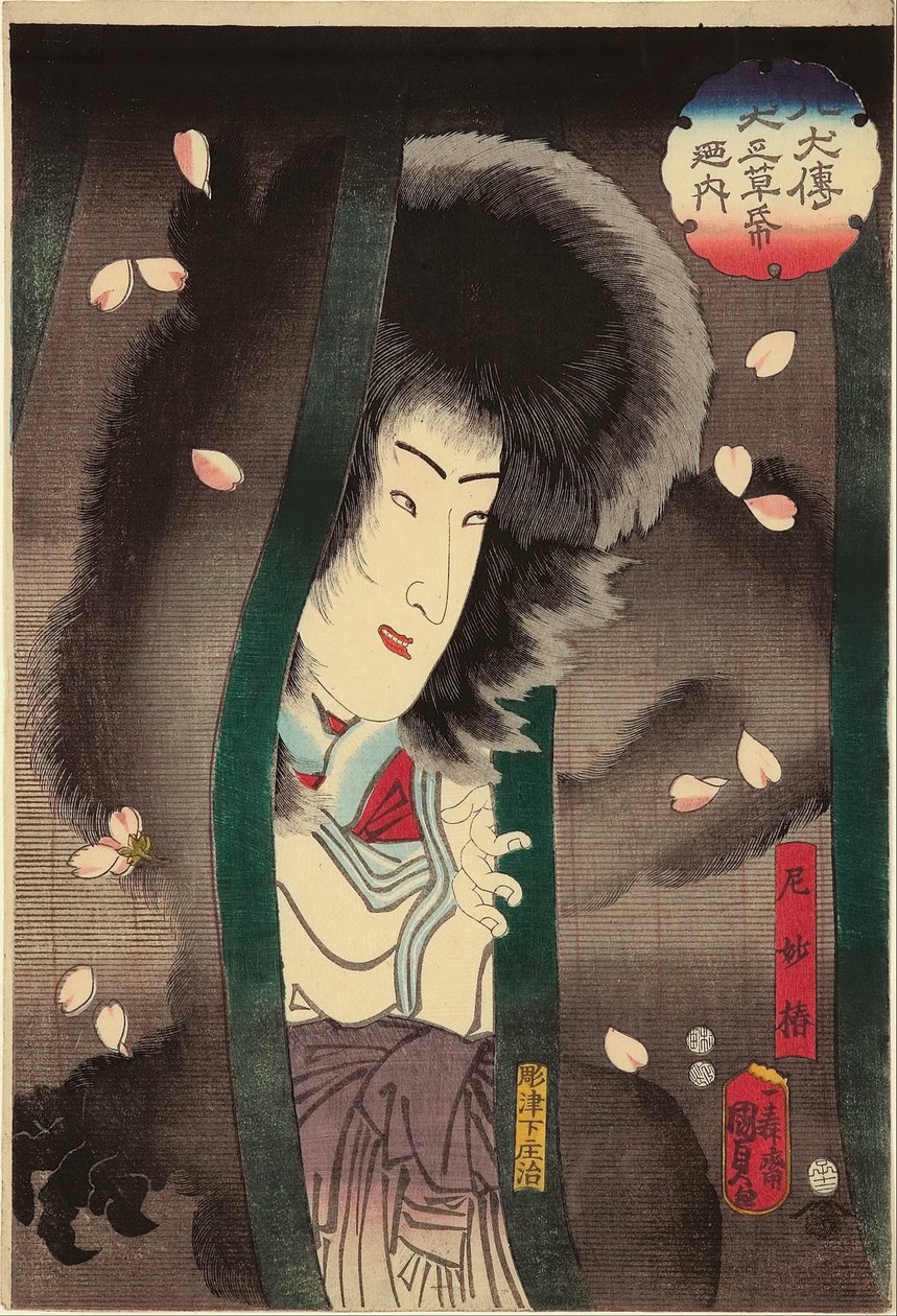O gato freira (Ama Myochin) (o ator Segawa Kikunojo V), XII - 1852 da série &39;Do livro de histórias do cão, o conto dos oito heróis do cão (Hakkenden inu no soshi no uchi)&39; de Utagawa Kunisada II