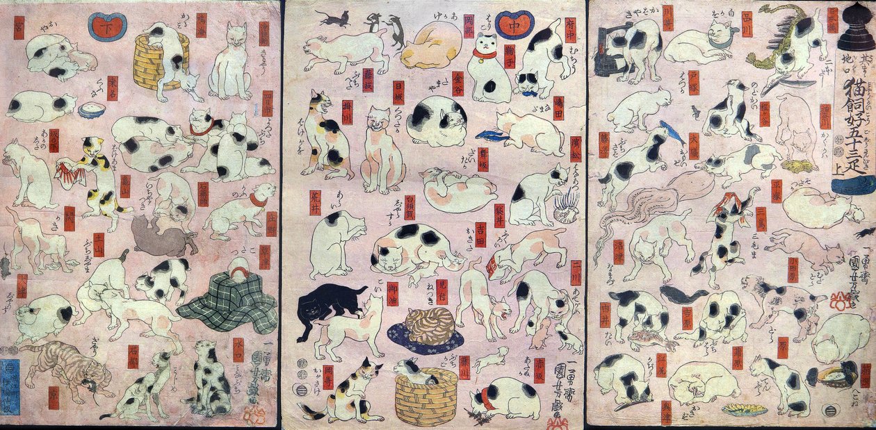 Cinquenta e três Gatos como trocadilhos para os Nomes da Estação na Estrada Tōkaidō (Sono mama jiguchi myōkaidō gojūsan biki), c.1848 de Utagawa Kuniyoshi