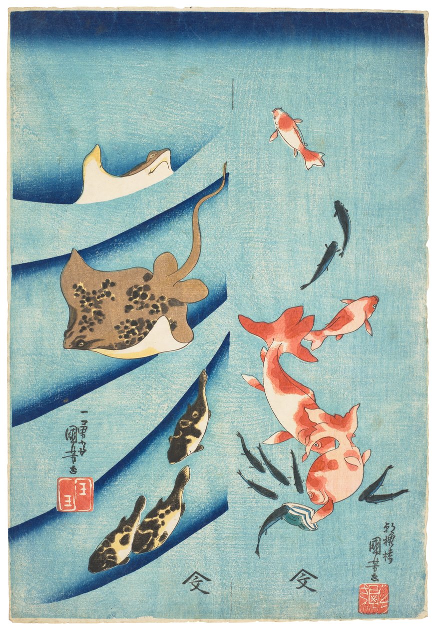 Peixe-dourado, peixe-rei, arraia e peixe-balão, c.1837 (xilogravura) de Utagawa Kuniyoshi
