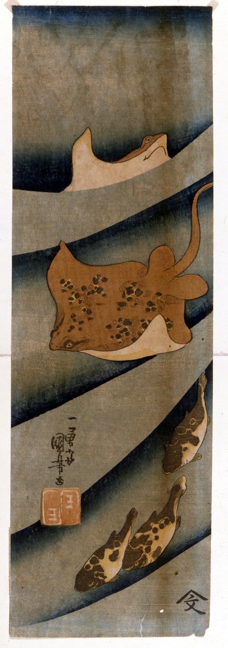 Impressões de Utagawa KUNIYOSHI (1797-1861) retratando os peixes. de Utagawa Kuniyoshi