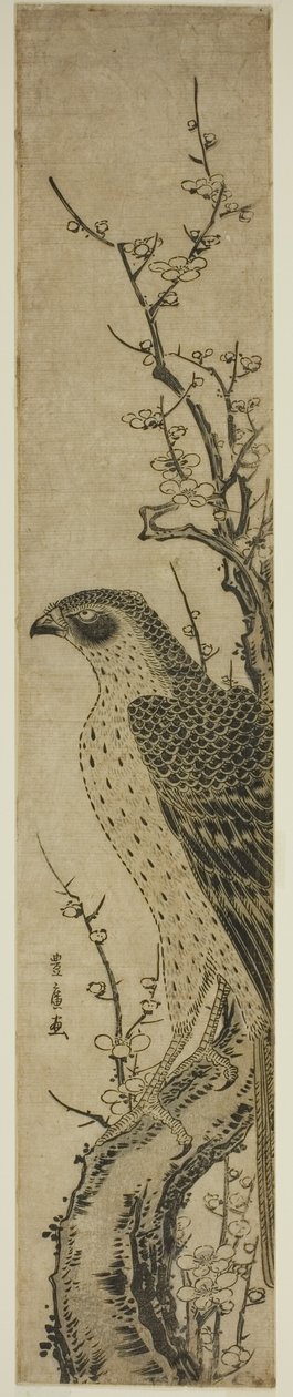 Falcão numa cerejeira de Utagawa Toyohiro