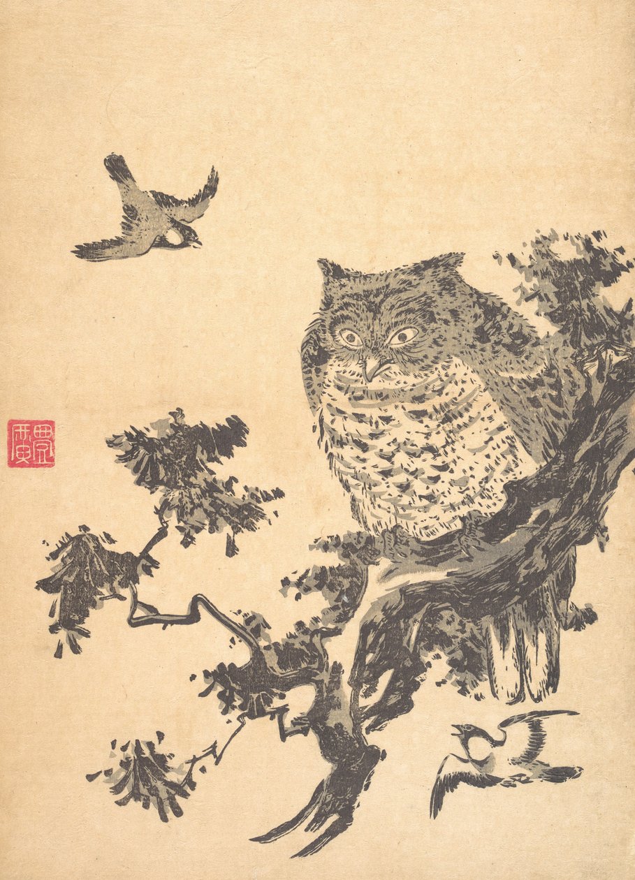 Coruja e duas andorinhas. de Utagawa Toyohiro