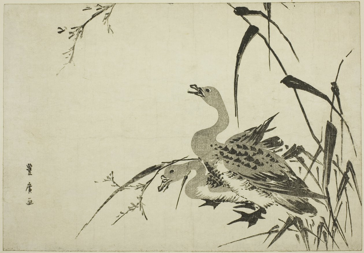 Gansos selvagens e juncos de Utagawa Toyohiro