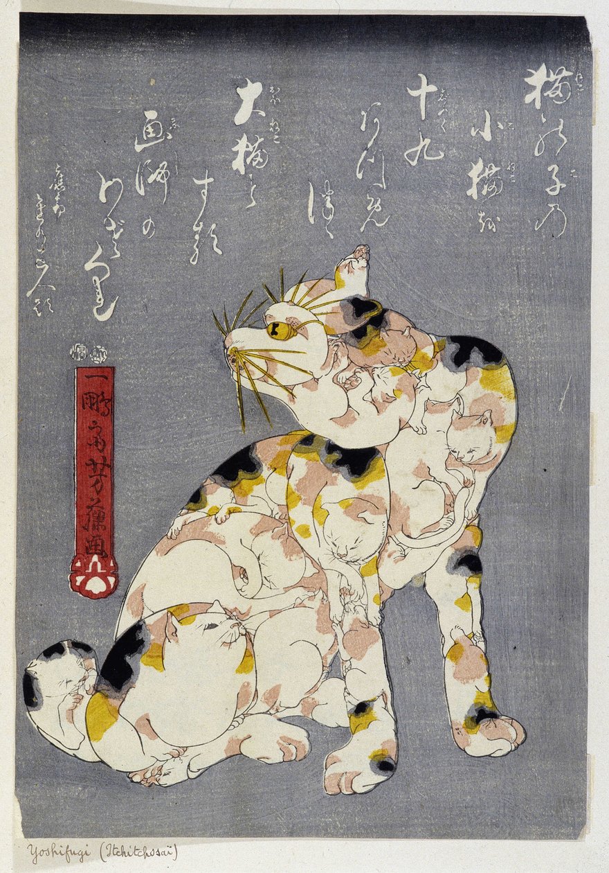 Imagem desconhecida de Utagawa Yoshifuji