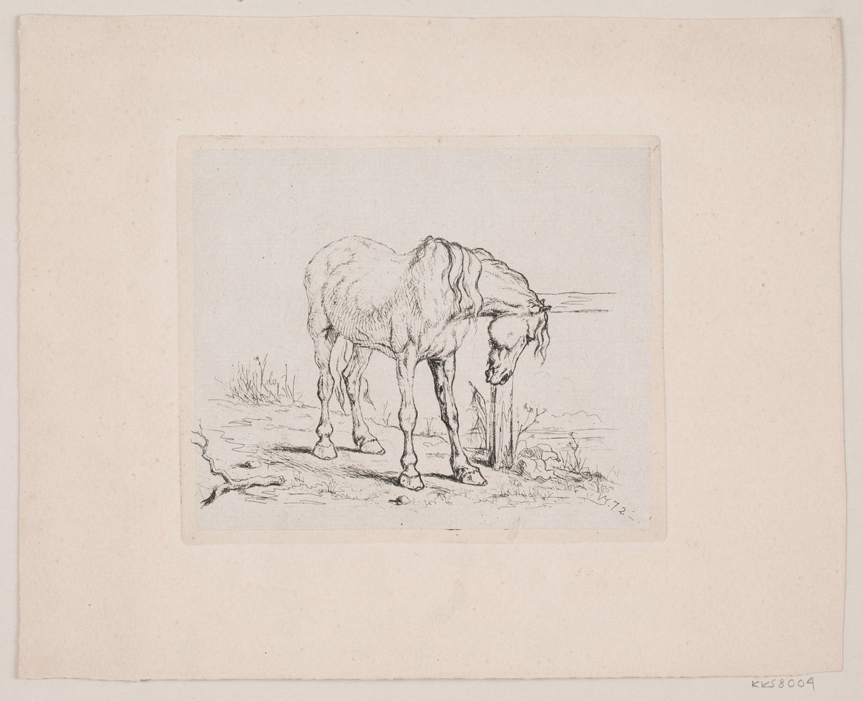 Um cavalo velho de Valdemar Irminger