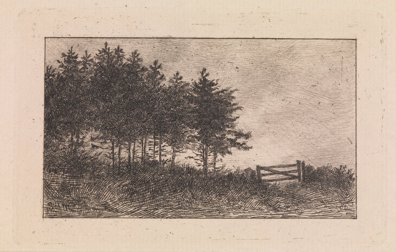 noite de agosto de Valdemar Schønheyder Møller
