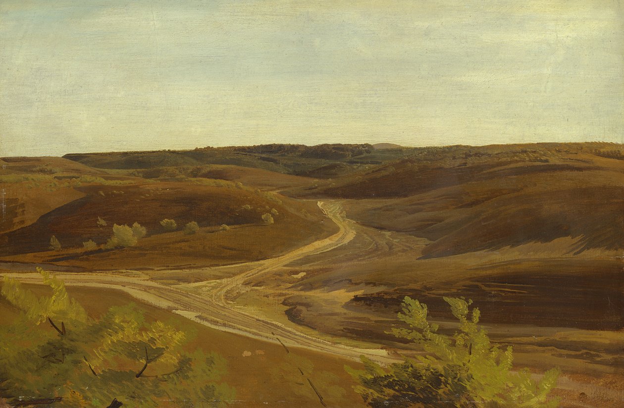 O Moorland perto de Ehestorf, 1868 (óleo sobre papel a bordo) de Valentin Ruths