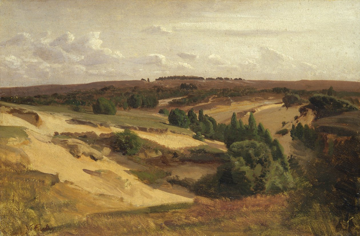A charneca perto de Bispingen, 1887 (óleo sobre papel sobre tela) de Valentin Ruths