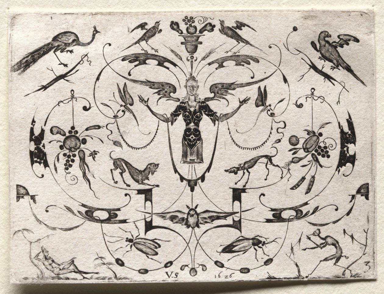 Arabesco com Pavão, Periquito, Cães e Insetos, 1626. de Valentin Sezenius