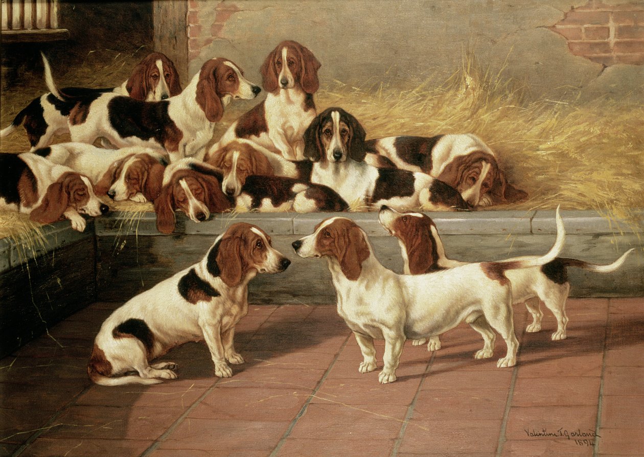 Basset Hounds em um canil, 1894 de Valentine Thomas Garland