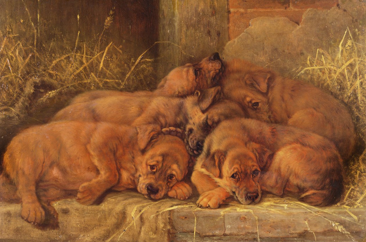 Amor Cachorrinho de Valentine Thomas Garland