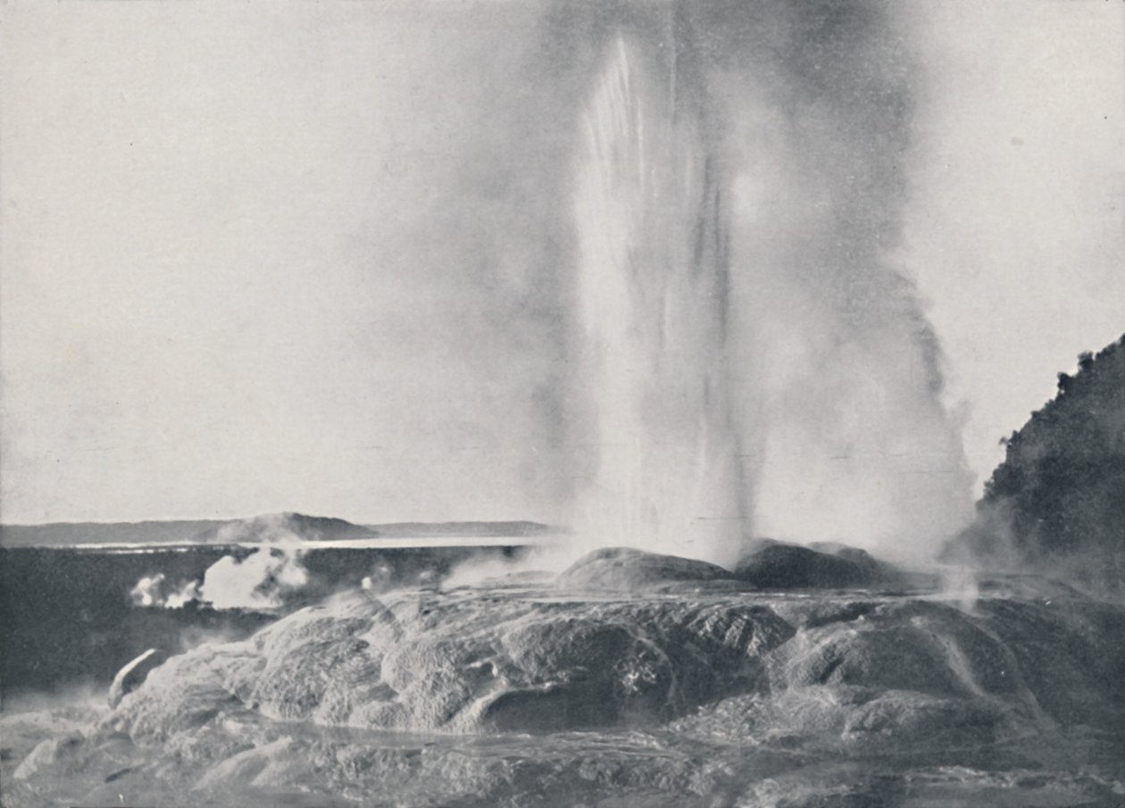 Geyser, Nova Zelândia, 1924 de Valentine and Sons Ltd