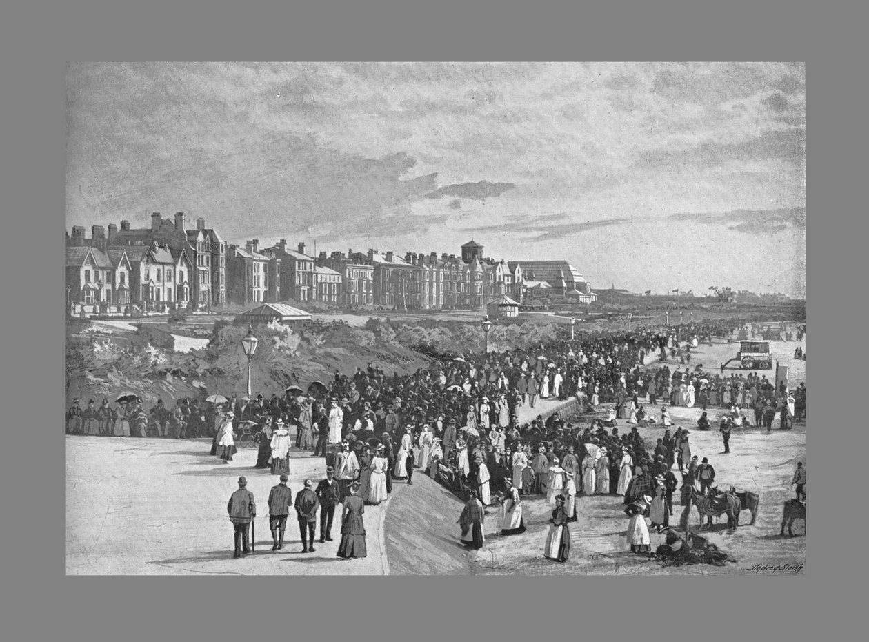 Parque marinho, Southport, c1900 de Valentine and Sons Ltd