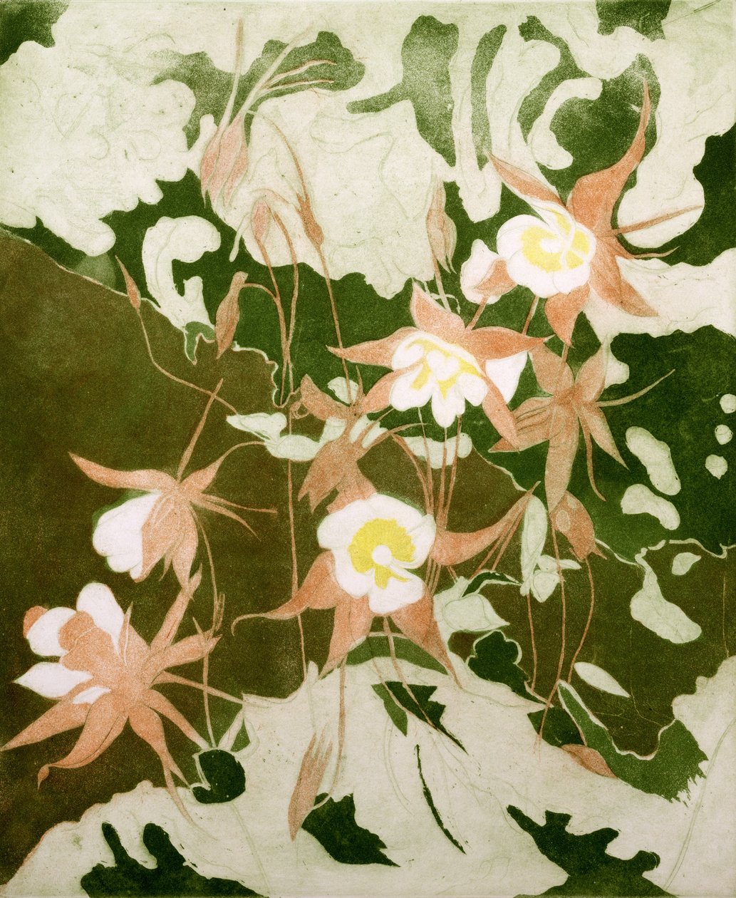 Columbines (impressão) de Valerie Daniel