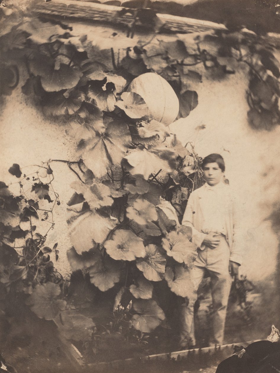 Menino com uma videira de abóbora, 1854. de Varin Frères