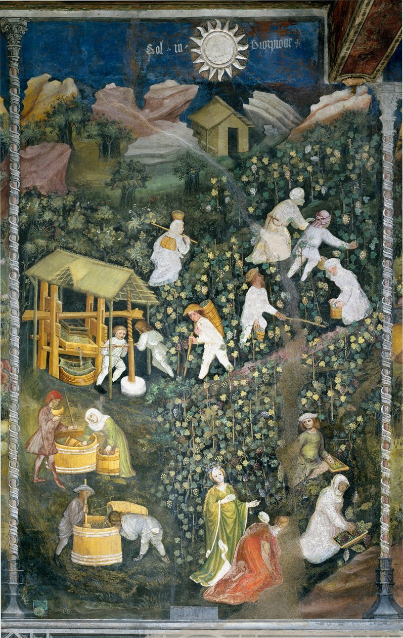 Outubro: cena da vindima, vindima das uvas e preparação do mout (prensagem do vinho). Pintura do Mestre dos Meses ou Mestre Wenceslas (Maestro dei Mesi ou Maestro Wenceslao em italiano, início do século XV) restaurada por Marcello Fogolino em torno de de Venceslao Maestro