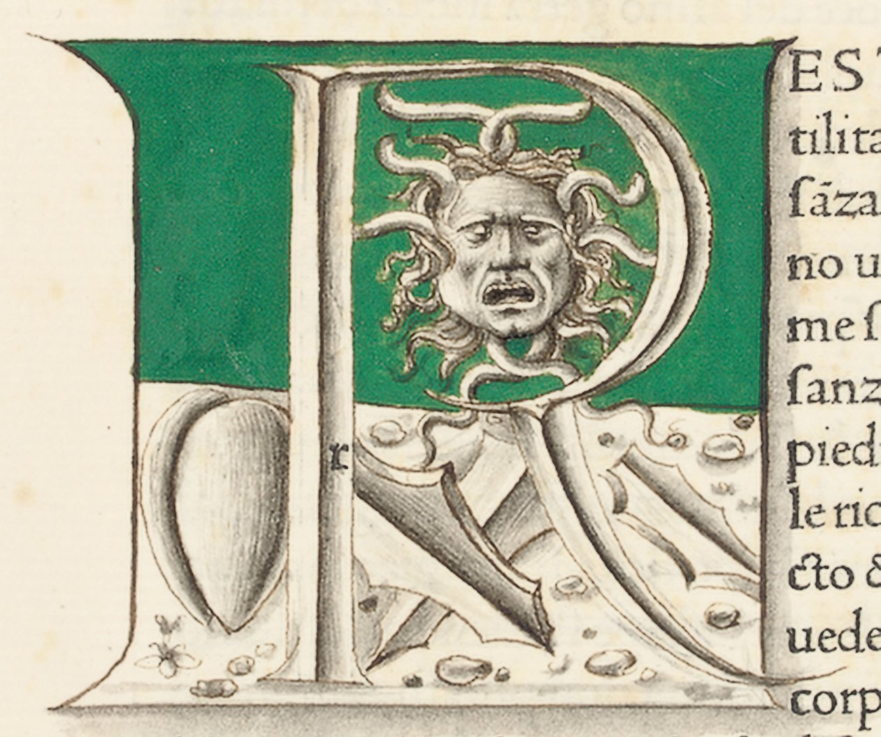 Detalhe de &39;Historia Naturalis&39; de Plínio, o Velho de Venetian School