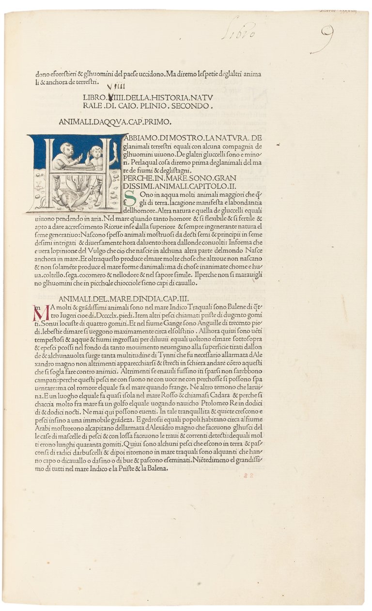 &39;Historia Naturalis&39; de Plínio, o Velho de Venetian School