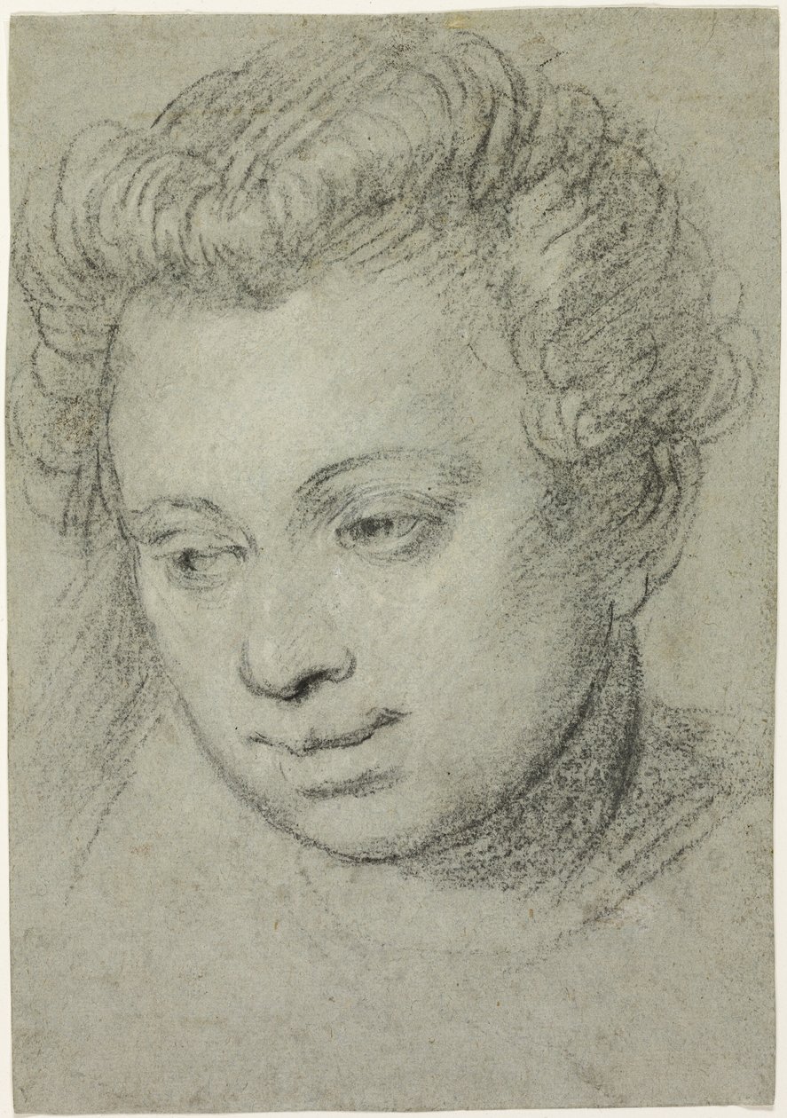 Cabeça de mulher de Veronese (Paolo Caliari)