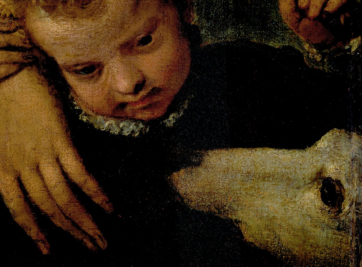 Retrato, de, um, mulher, com, um, criança, e, um, cão, detalhe, de, a, cabeças, de, a, criança, e, a, cão, óleo, ligado, lona, detalhe, de, 95739 de Paolo Veronese