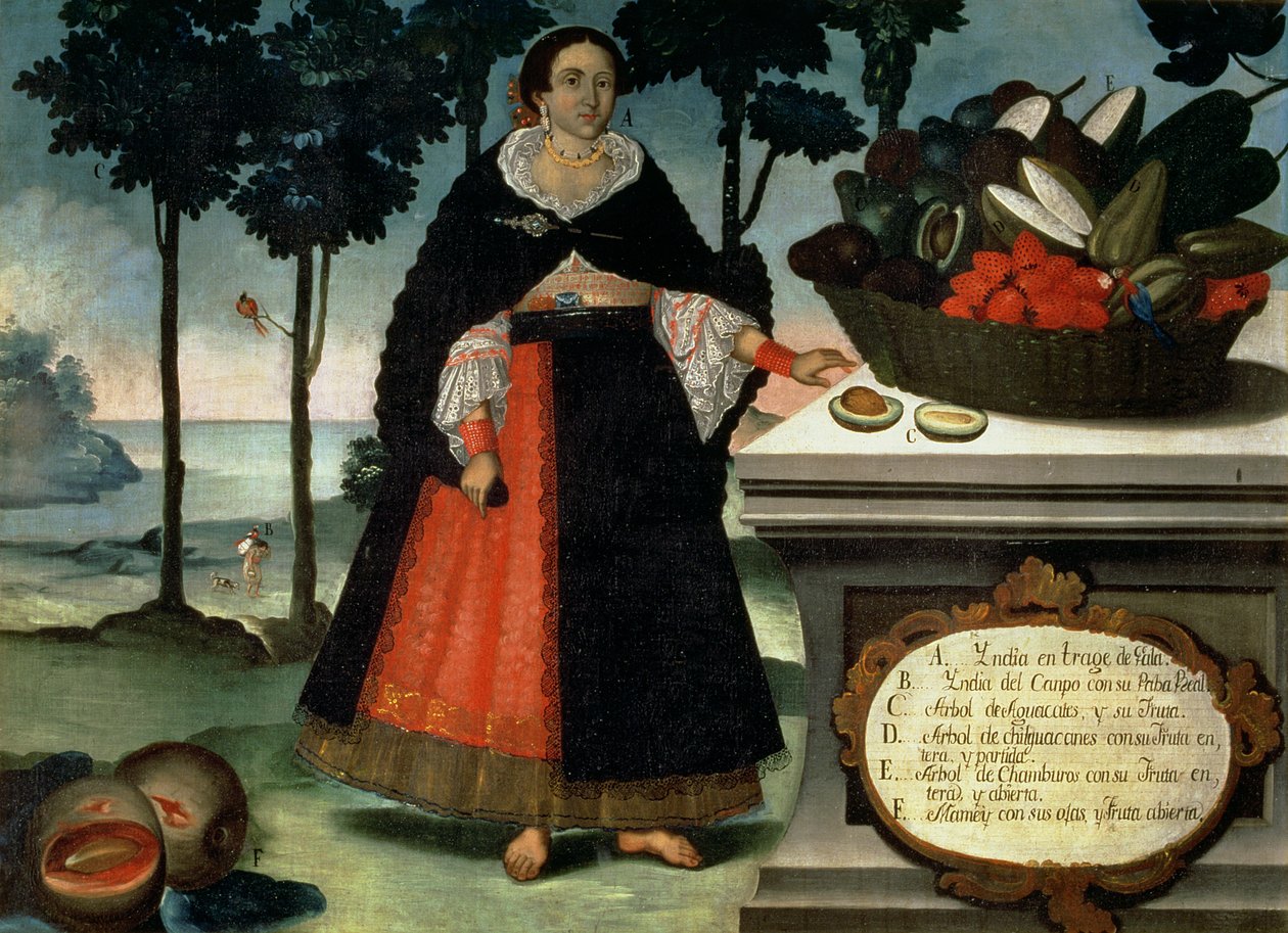 Mulher indiana em vestido completo (óleo sobre tela) de Vicente Alban