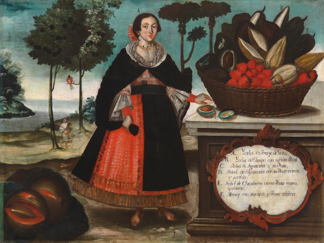 Mulher indiana em traje especial, c.1783 de Vicente Alban