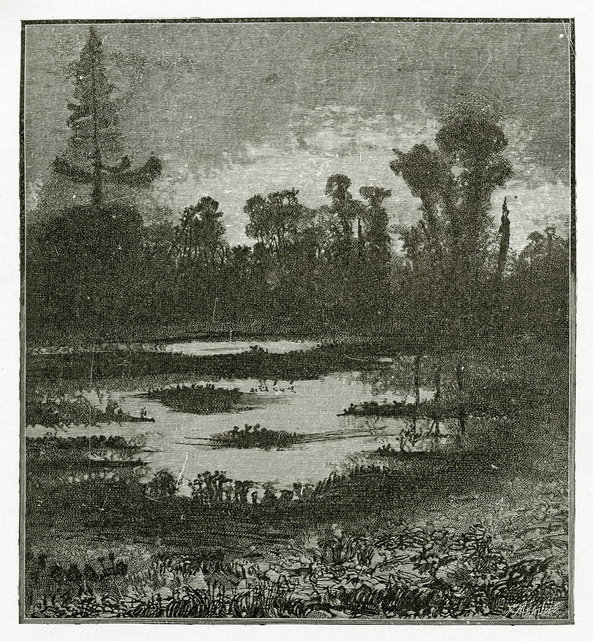 Canções do Crepúsculo, Século 19 (gravura bw) de Victor Hugo