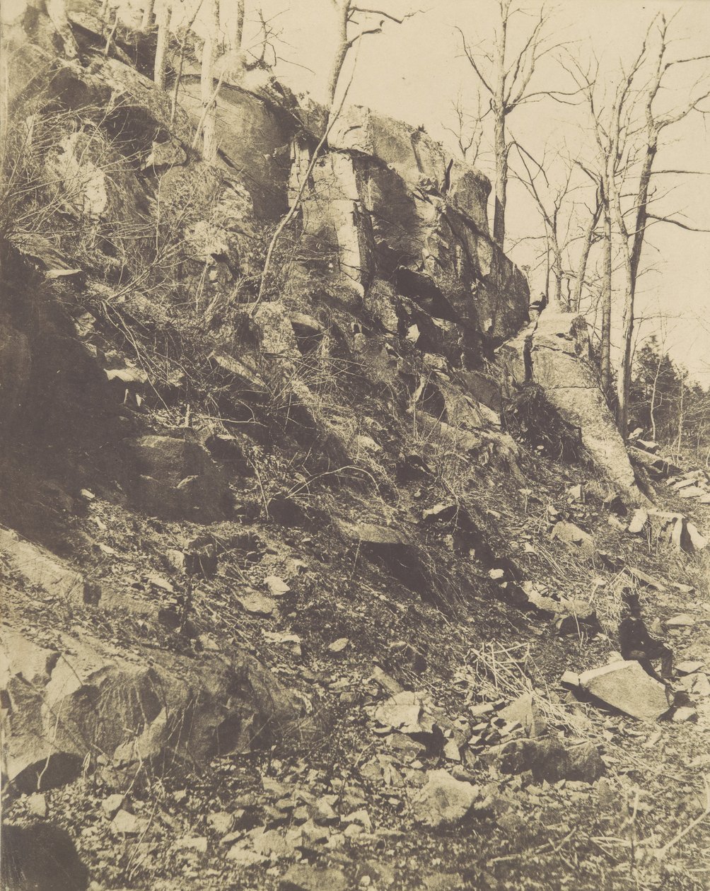 [Rocky Hillside], década de 1850. de Victor Prevost
