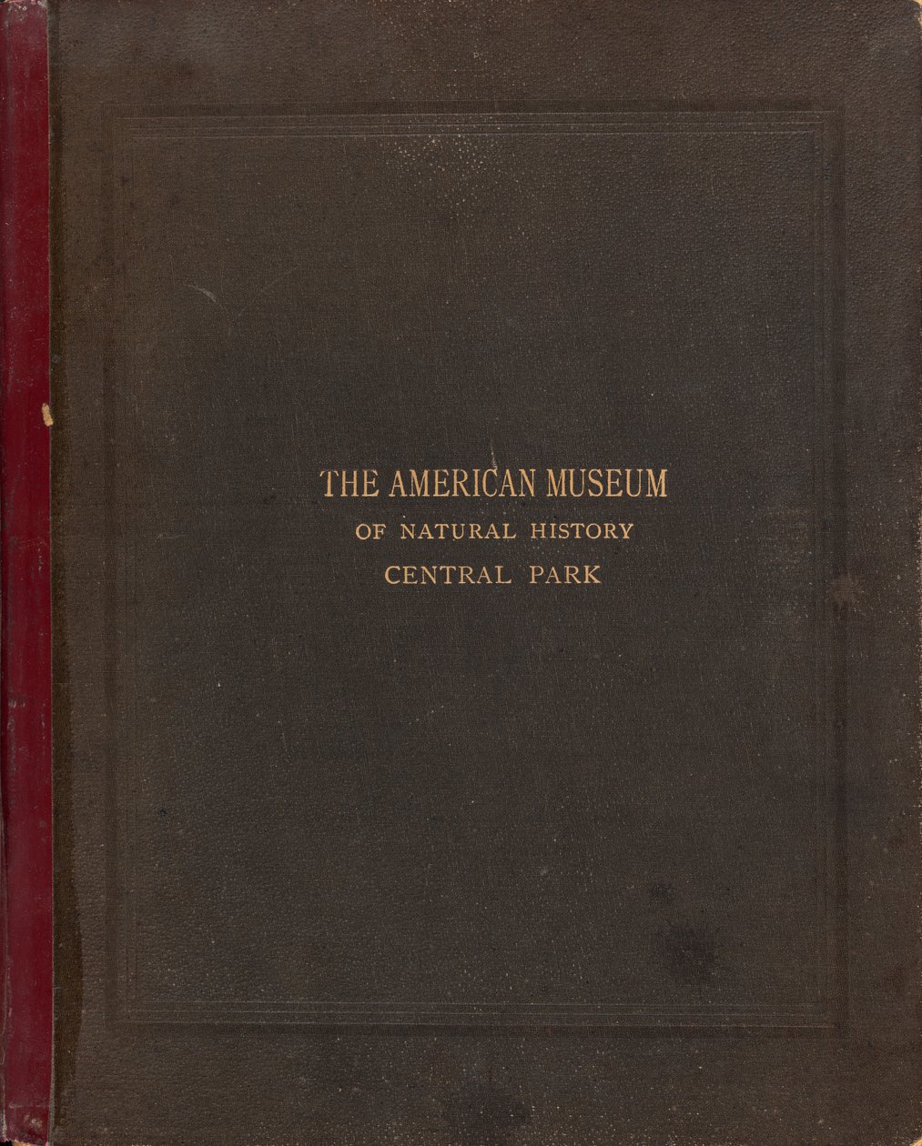O Álbum Fotográfico do Museu Americano de História Natural, Central Park, Nova York de Victor Prevost, Gaston L. Feuardent and Co., New York