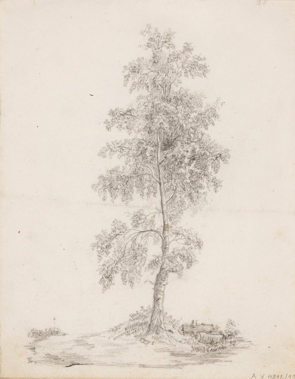 Bétula de Victoria Åberg