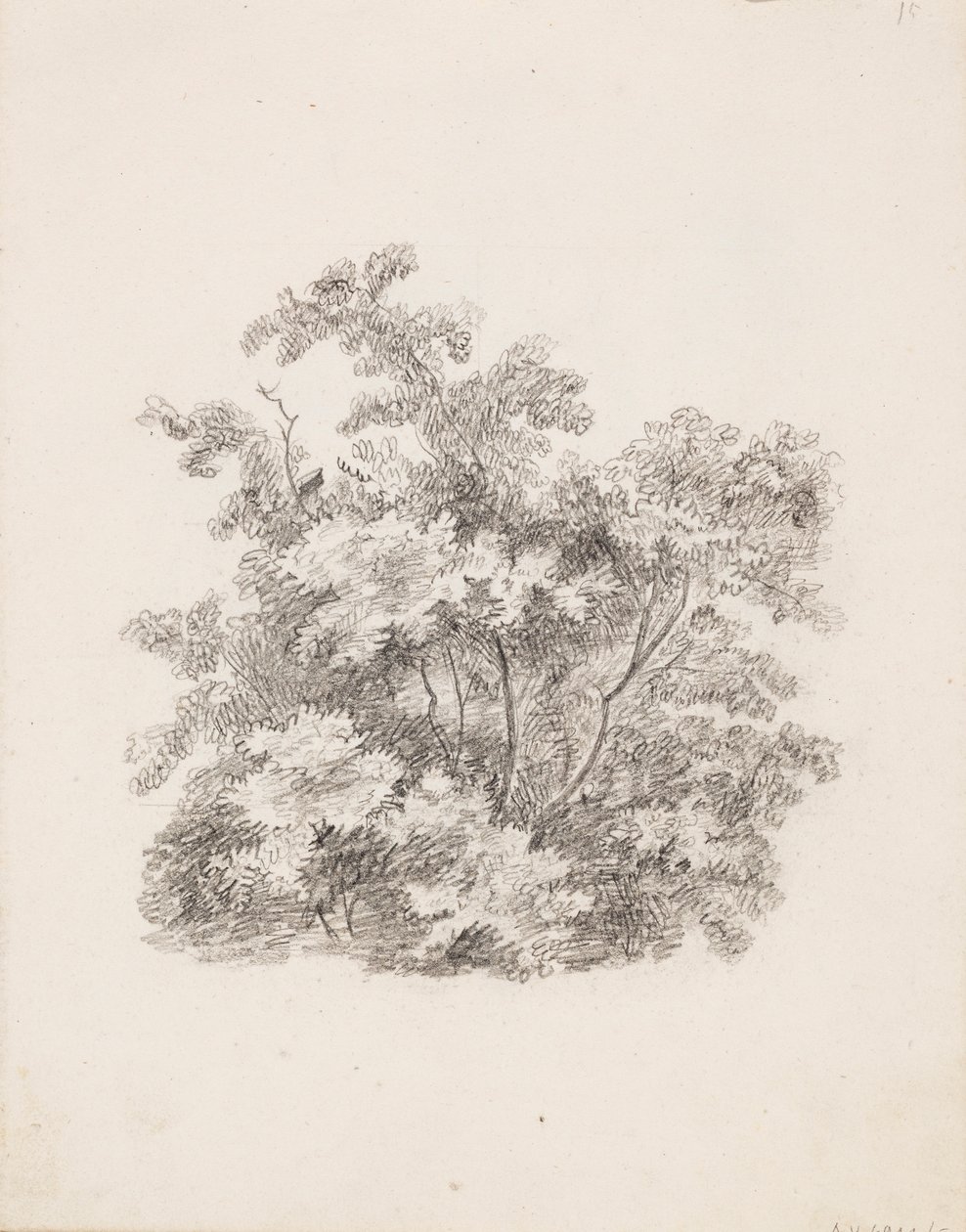 Arbustos de Victoria Åberg