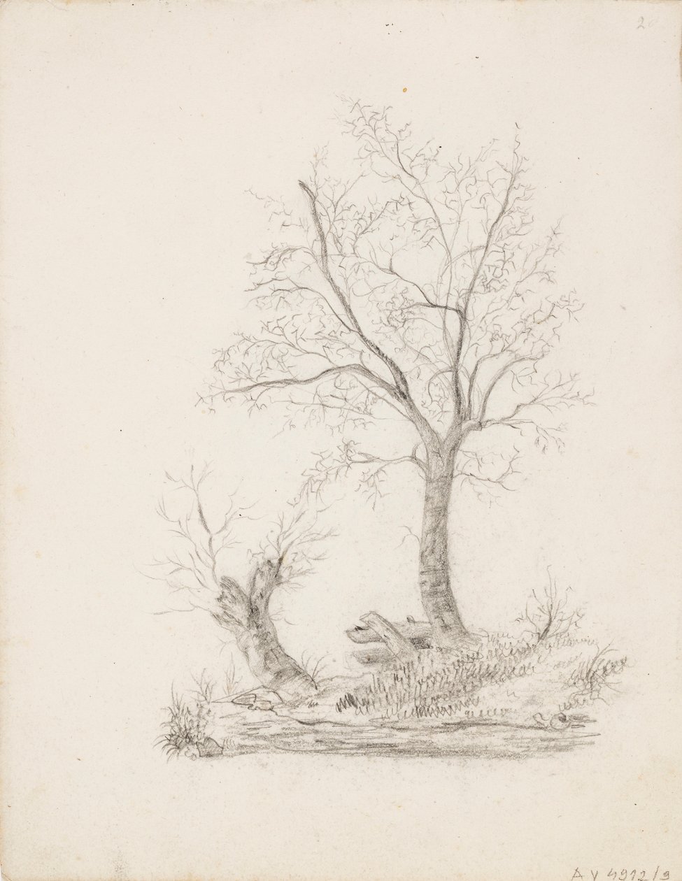 Árvores de Victoria Åberg