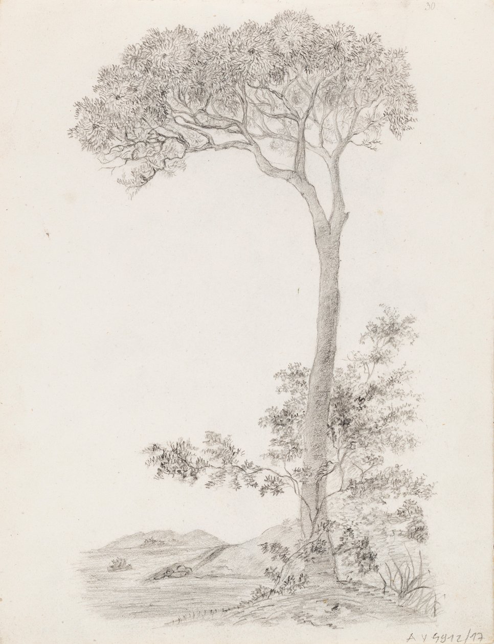 Árvores de Victoria Åberg
