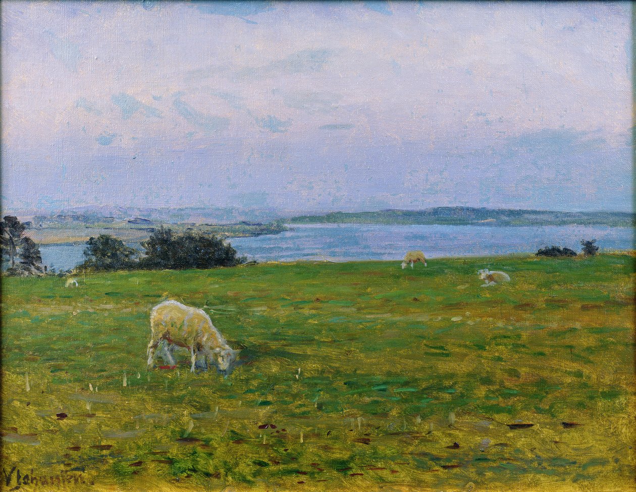 Ovelha pastando, Osterby, Skagen de Viggo Johansen