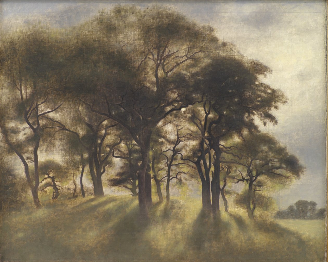 Perto de Fortunen, Jægersborg Deer Park, norte de Copenhague de Vilhelm Hammershøi