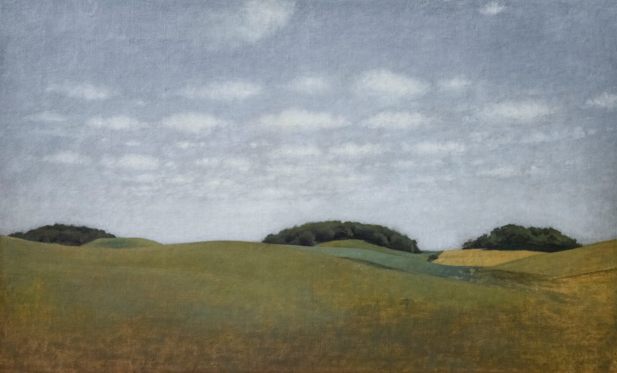 Landscape a Lejre de Vilhelm Hammershoi
