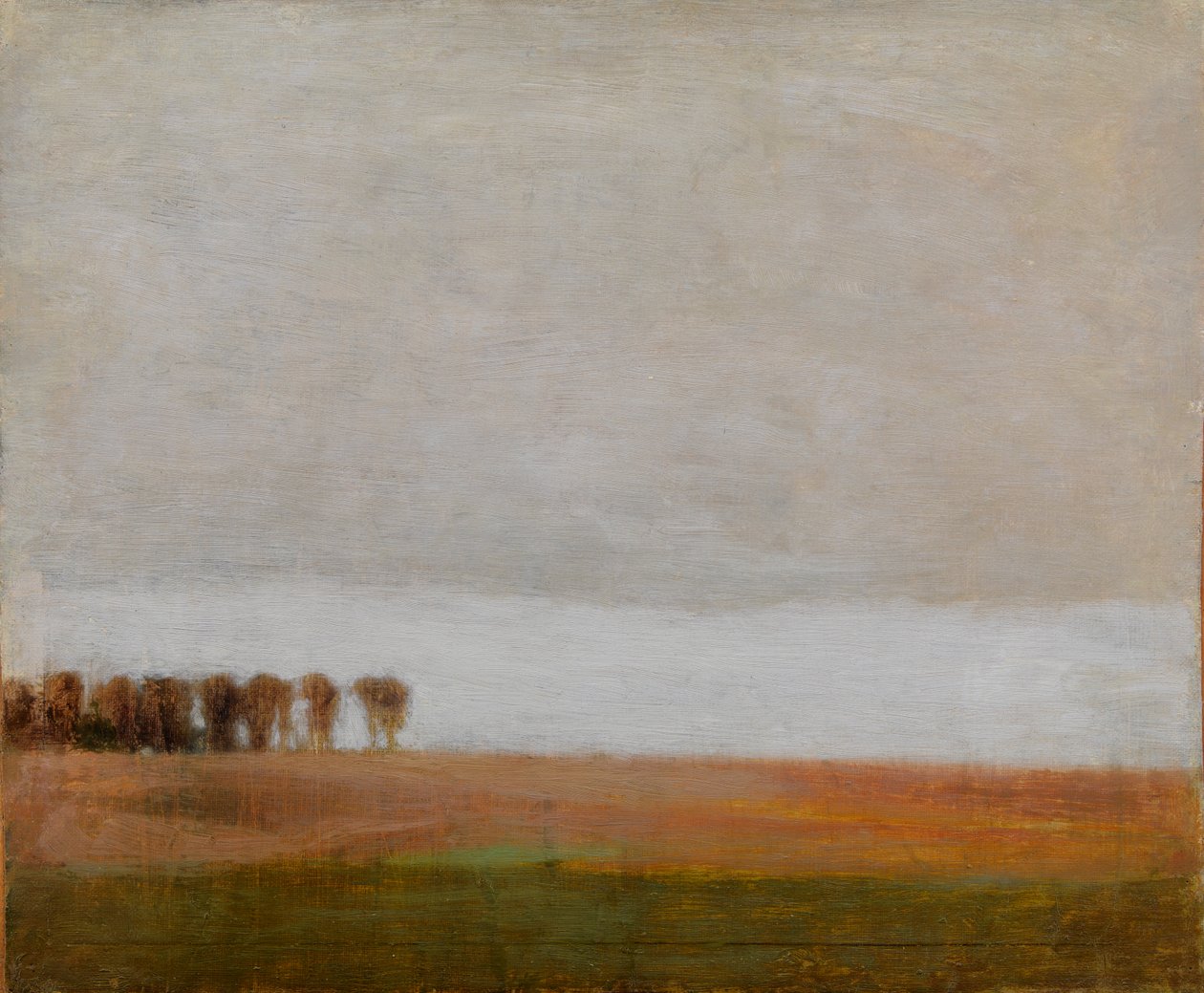 Vista de Jægersborg Allé. Gentofte, norte de Copenhague de Vilhelm Hammershøi