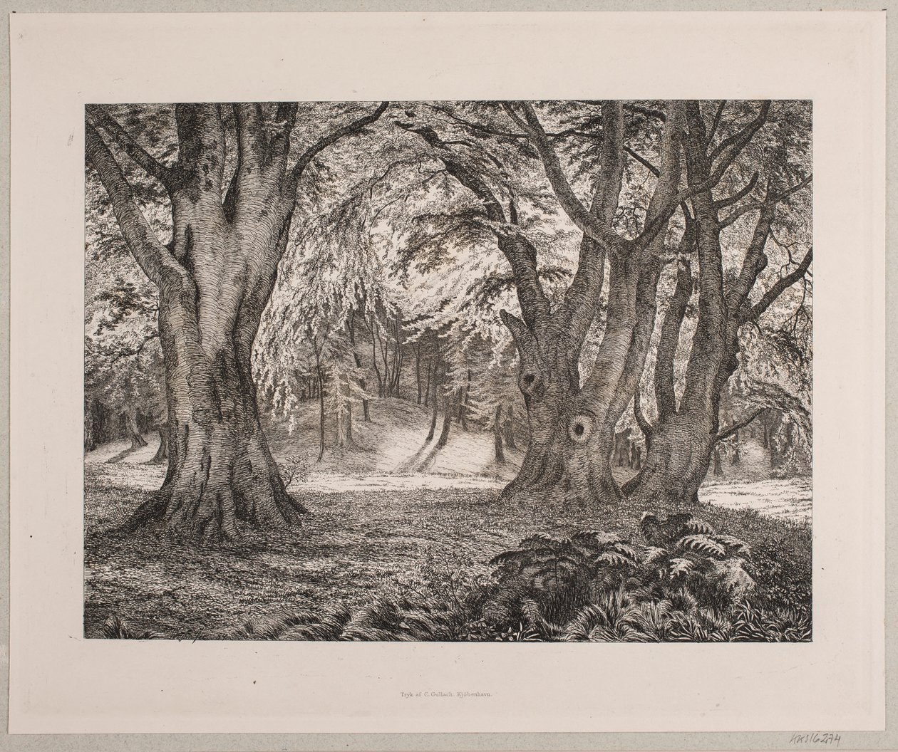 O interior de uma floresta de Vilhelm Kyhn