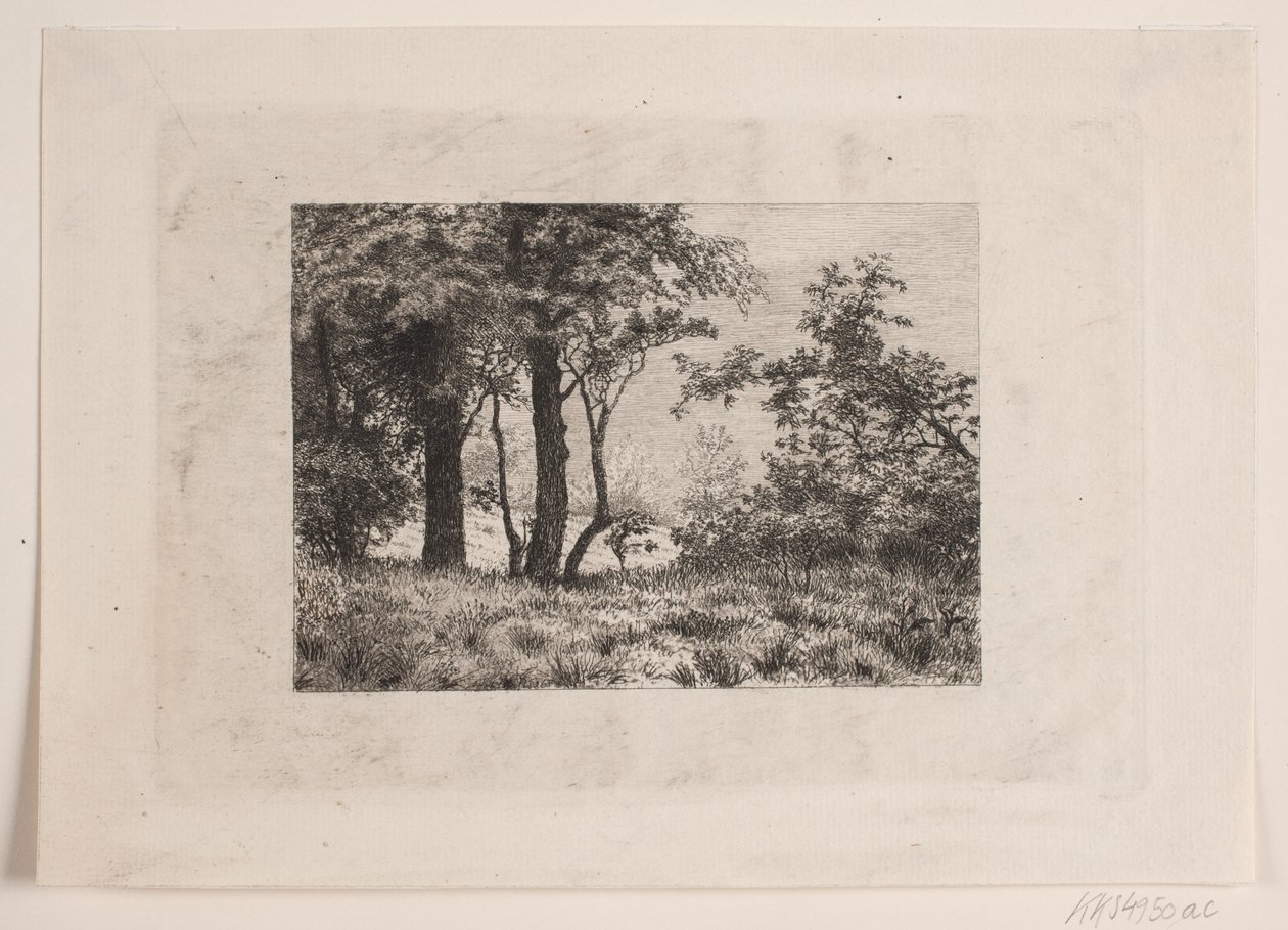 Carvalhos à beira de uma floresta de Vilhelm Kyhn