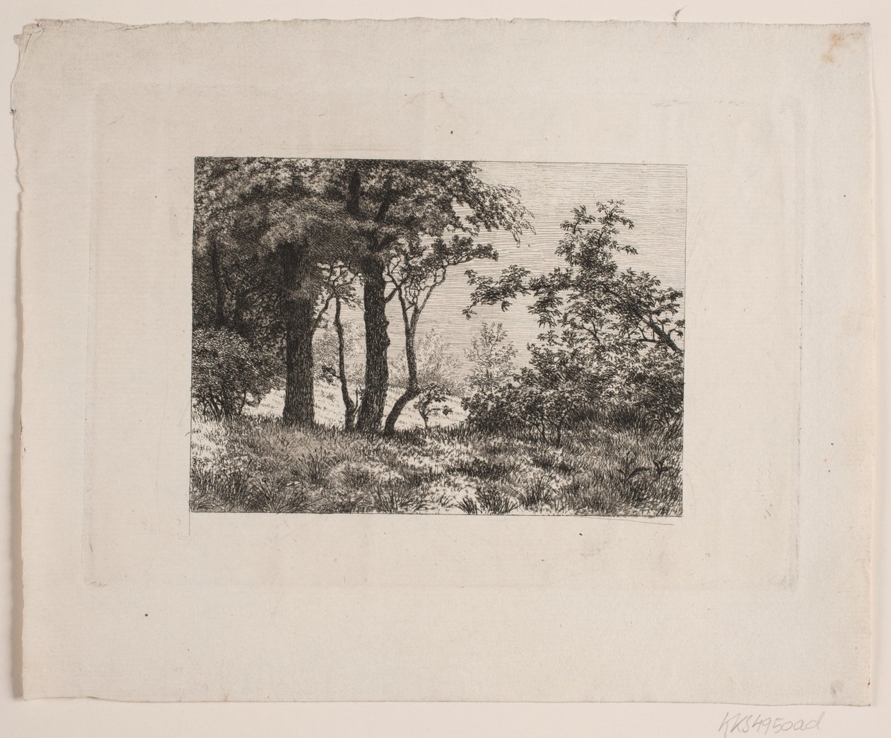 Carvalhos à beira de uma floresta de Vilhelm Kyhn