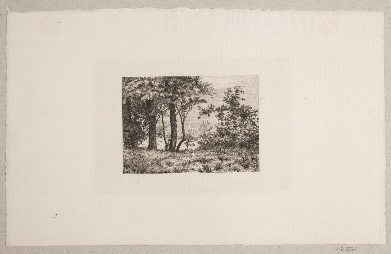 Carvalhos à beira de uma floresta de Vilhelm Kyhn