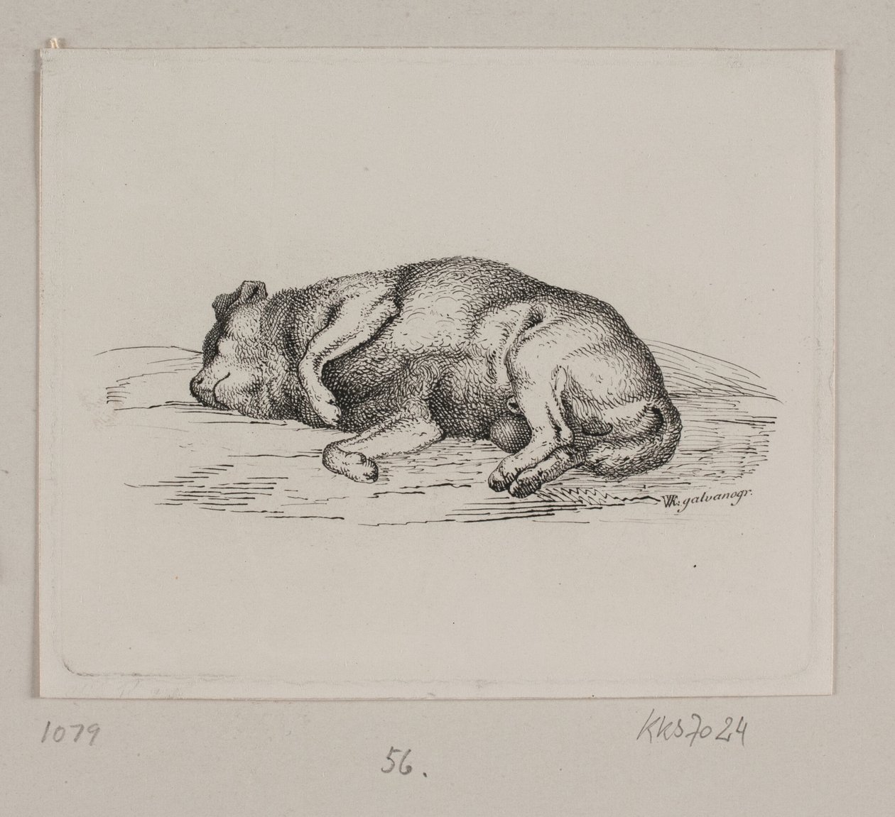 Um cão mentiroso de Vilhelm Kyhn