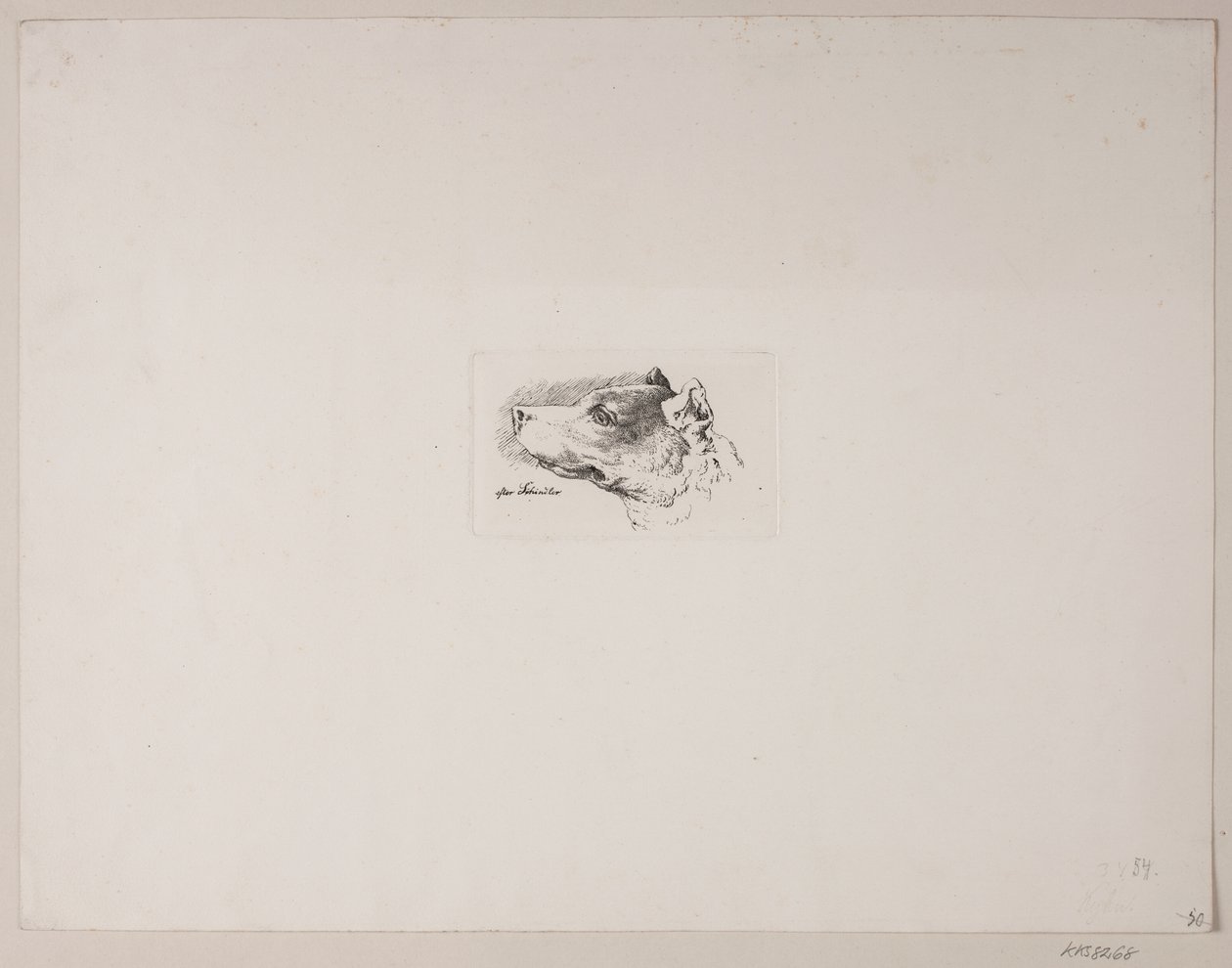cabeça de cachorro de Vilhelm Kyhn