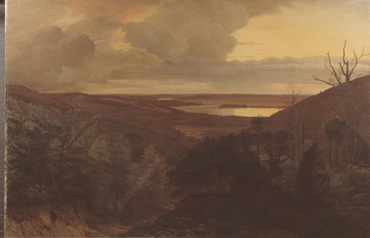 Tarde da noite perto de Himmelbjerget, Jutlândia de Vilhelm Kyhn