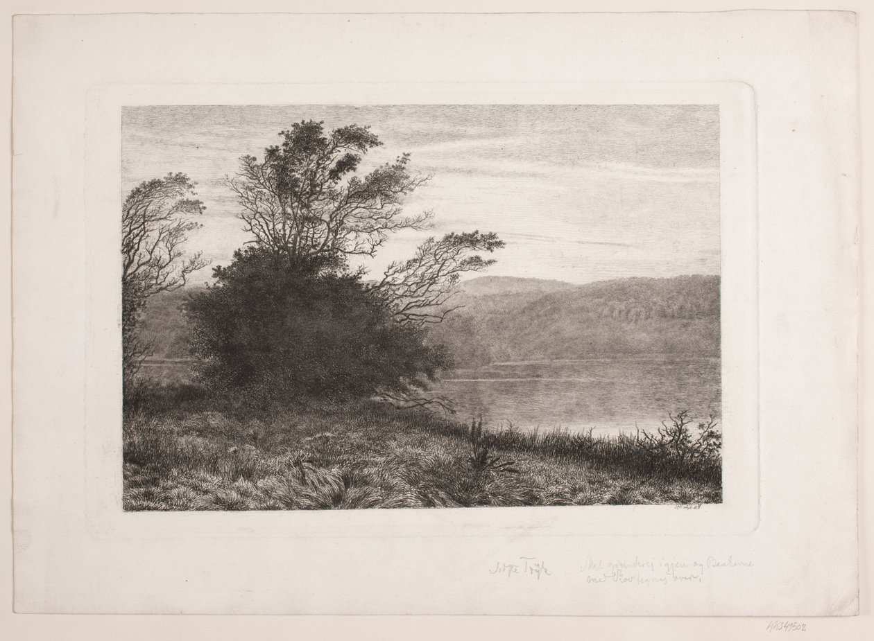 Lago de centeio de Vilhelm Kyhn