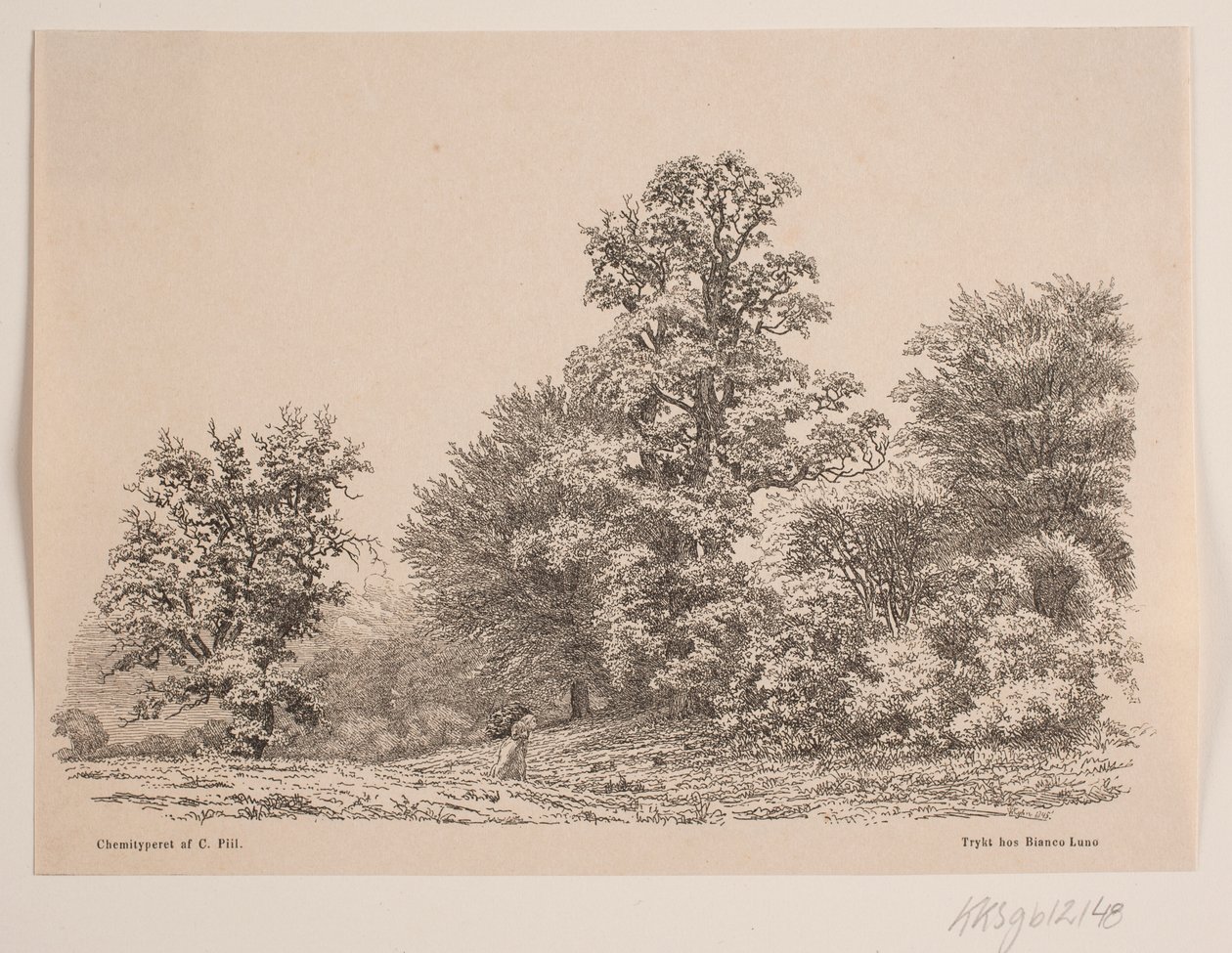 Borda de uma floresta de Vilhelm Kyhn