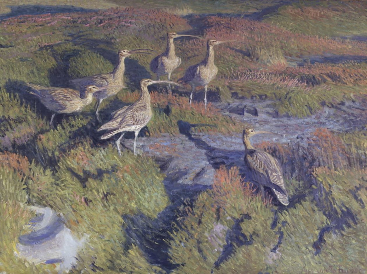 Rain pover pronto para decolar de Vilhelm Th. Fischer