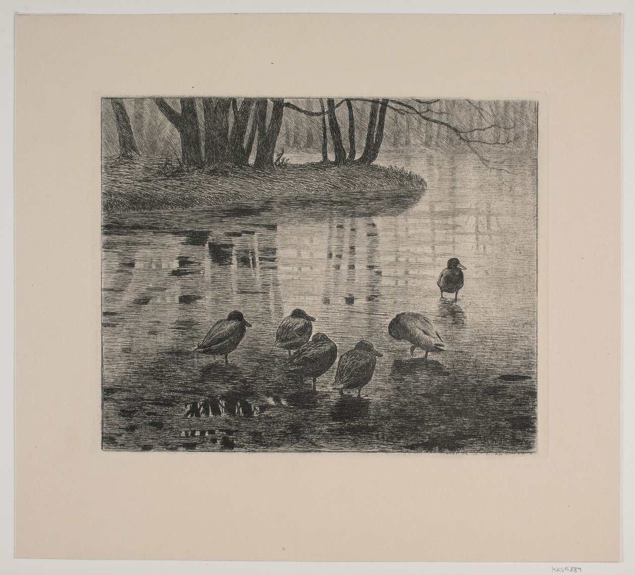 Patos de Vilhelm Th. Fischer