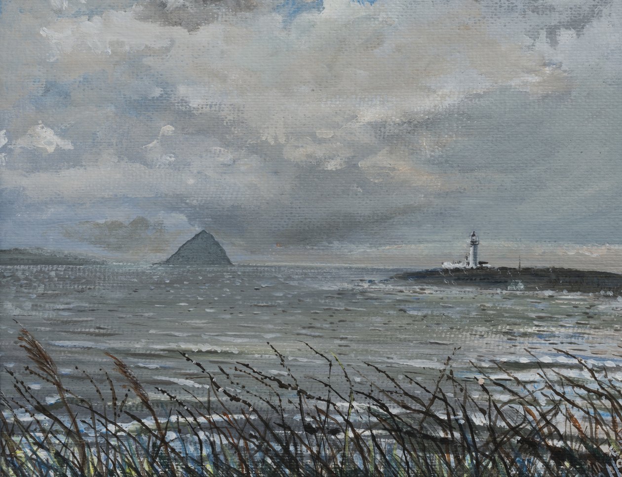 Ailsa Craig de Arran, 2007, (acrílico sobre tela) de Vincent Alexander Booth